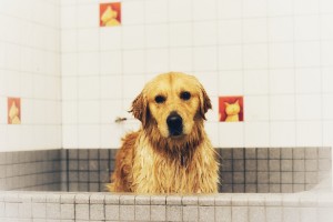 A Better Alternative to Tile and Natural Stone in Showers