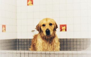 A Better Alternative to Tile and Natural Stone in Showers