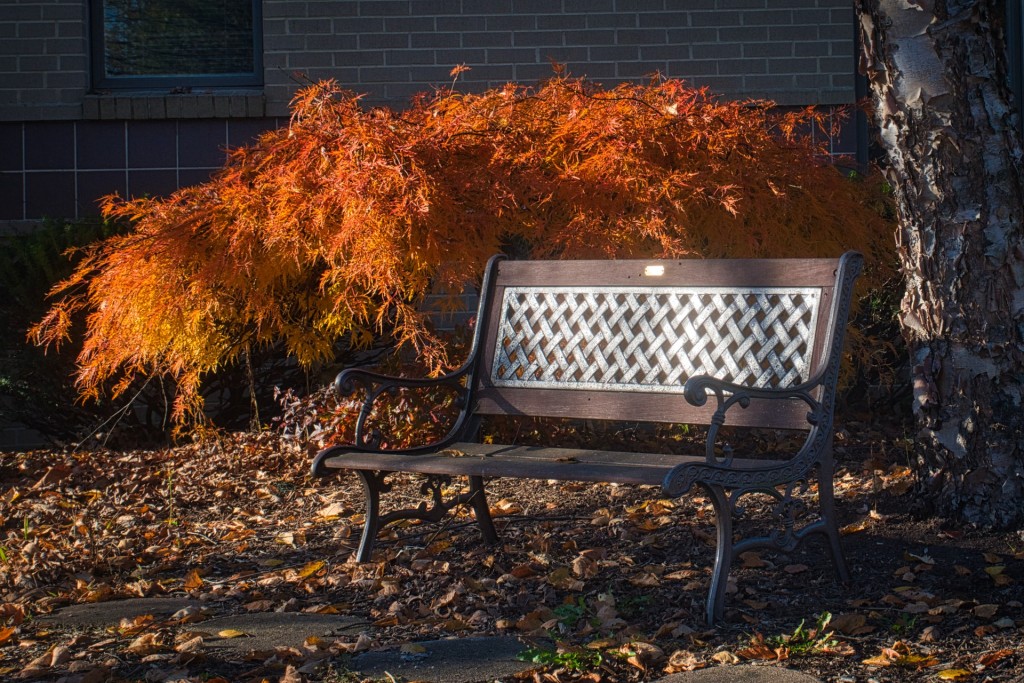 The Perfect Source for Outdoor Benches