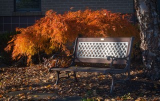 The Perfect Source for Outdoor Benches